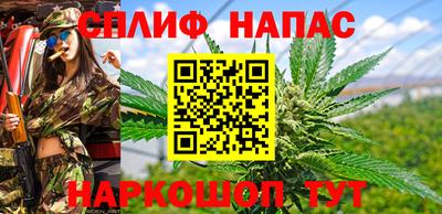 кокс Будённовск