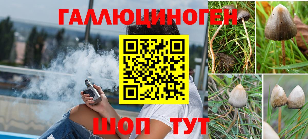 Псилоцибиновые грибы прущие грибы  наркошоп  Ртищево  Вход с VPN 
